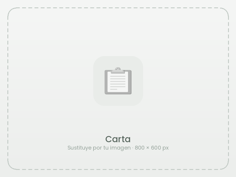 Ejemplo de la Carta en PATPV — imagen provisional