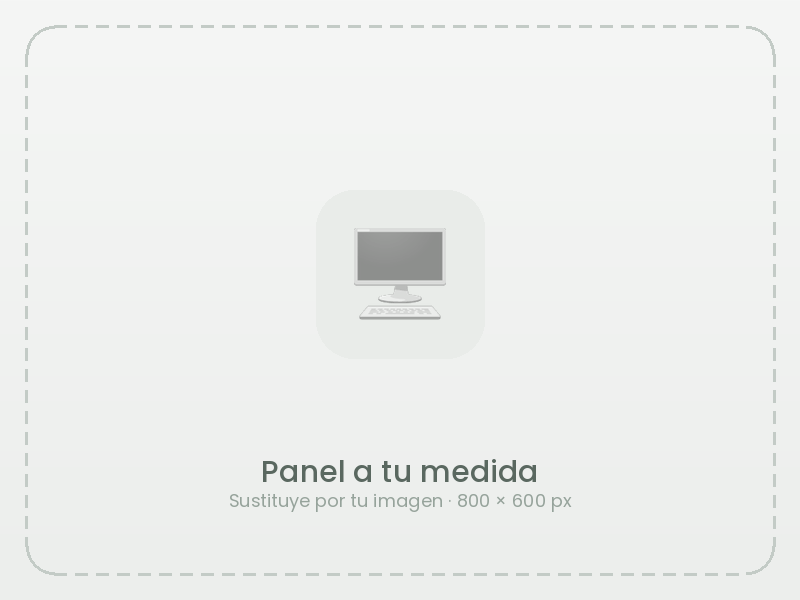Ejemplo de panel personalizado en PATPV — imagen provisional